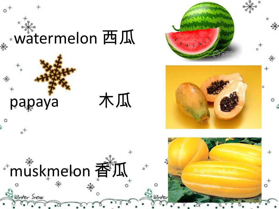 watermelon 西瓜 papaya 木瓜 muskmelon 香瓜
