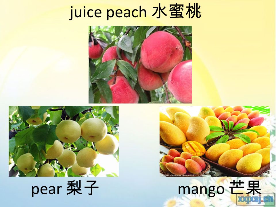 pear 梨子 juice peach 水蜜桃 mango 芒果