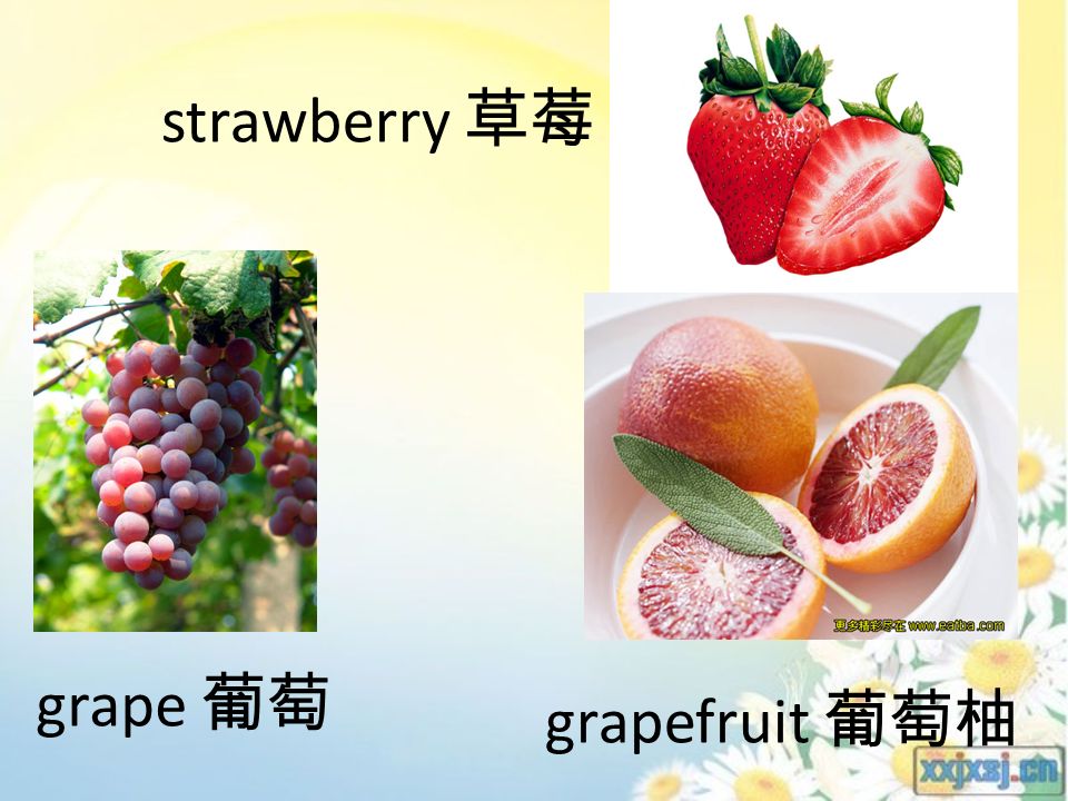 strawberry 草莓 grape 葡萄 grapefruit 葡萄柚