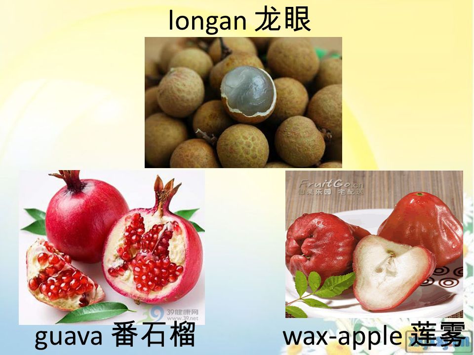 guava 番石榴 wax-apple 莲雾 longan 龙眼
