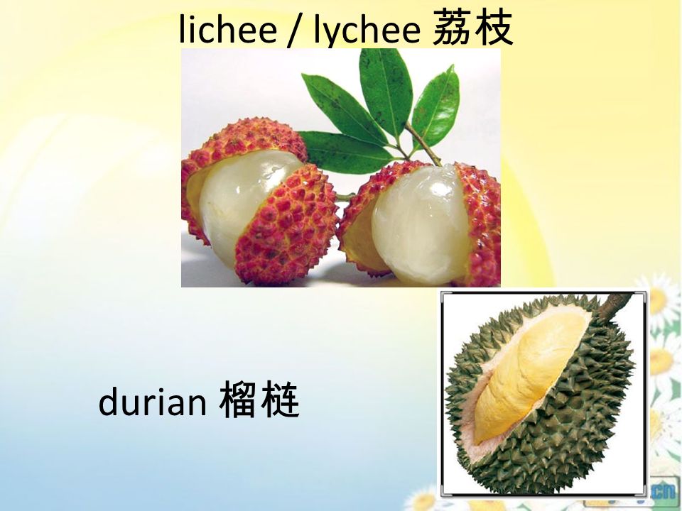 lichee / lychee 荔枝 durian 榴梿
