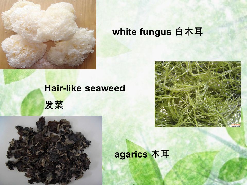 white fungus 白木耳 agarics 木耳 Hair-like seaweed 发菜
