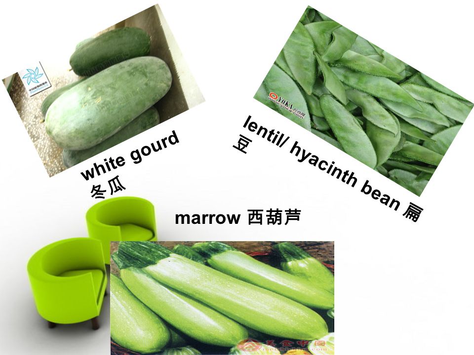 white gourd 冬瓜 lentil/ hyacinth bean 扁 豆 marrow 西葫芦