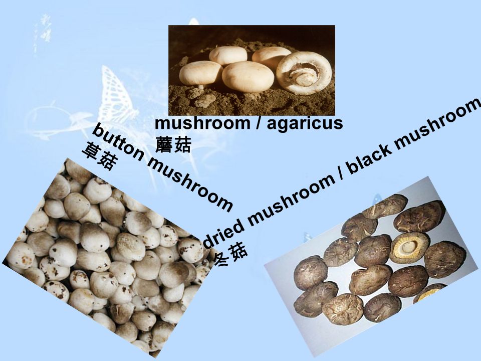 button mushroom 草菇 dried mushroom / black mushroom 冬菇 mushroom / agaricus 蘑菇