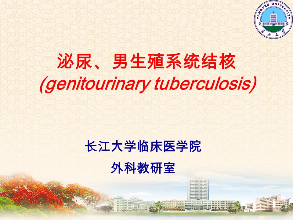 泌尿、男生殖系统结核 (genitourinary tuberculosis) 长江大学临床医学院 外科教研室