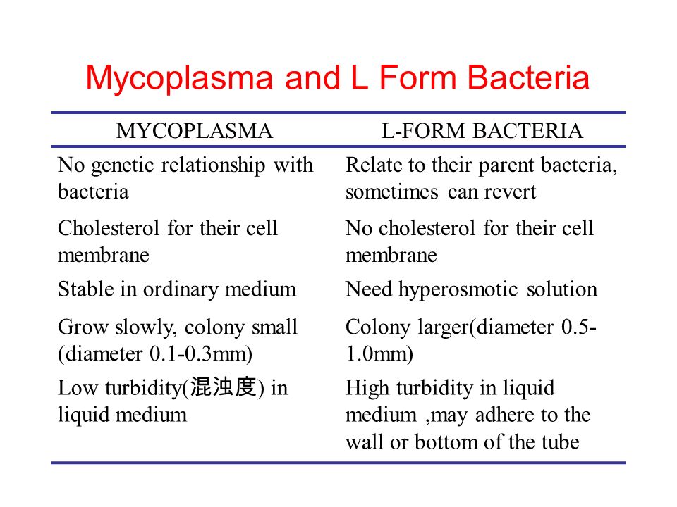 Mycoplasma and L Form Bacteria MYCOPLASMAL-FORM BACTERIA No genetic relationship with bacteria Relate to their parent bacteria, sometimes can revert Cholesterol for their cell membrane No cholesterol for their cell membrane Stable in ordinary mediumNeed hyperosmotic solution Grow slowly, colony small (diameter mm) Colony larger(diameter mm) Low turbidity( 混浊度 ) in liquid medium High turbidity in liquid medium,may adhere to the wall or bottom of the tube