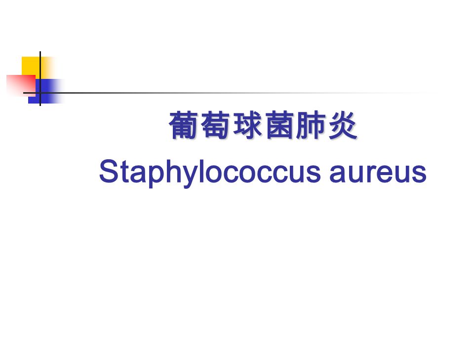葡萄球菌肺炎 Staphylococcus aureus