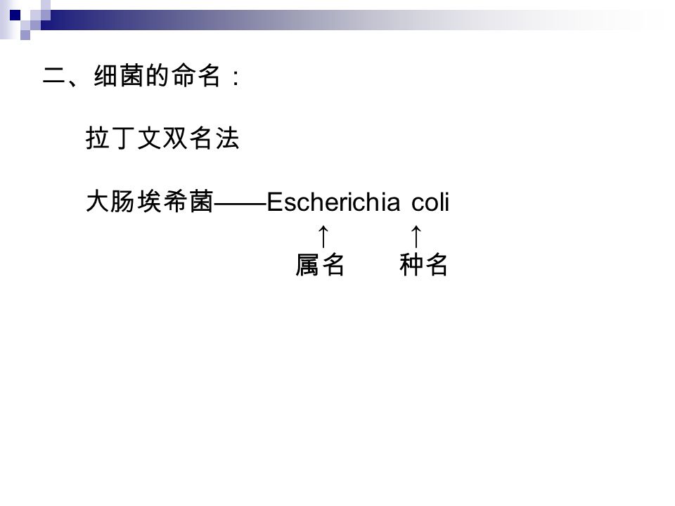 二、细菌的命名： 拉丁文双名法 大肠埃希菌 ——Escherichia coli ↑ ↑ 属名 种名