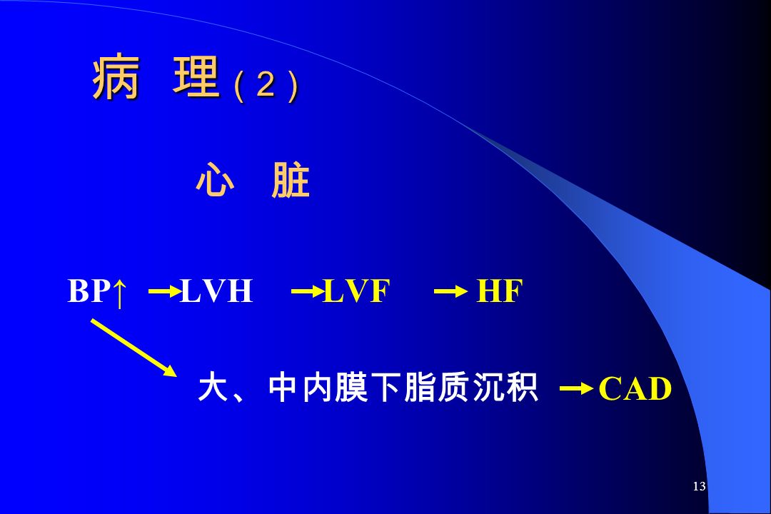 13 病 理 （ 2 ） 心 脏 BP↑ LVH LVF HF 大、中内膜下脂质沉积 CAD