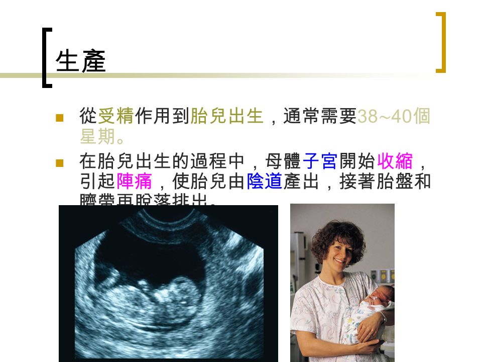生產 從受精作用到胎兒出生，通常需要 38 ∼ 40 個 星期。 在胎兒出生的過程中，母體子宮開始收縮， 引起陣痛，使胎兒由陰道產出，接著胎盤和 臍帶再脫落排出。