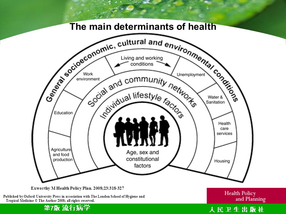 第 7 版 流行病学 人 民 卫 生 出 版 社人 民 卫 生 出 版 社 The main determinants of health Exworthy M Health Policy Plan.
