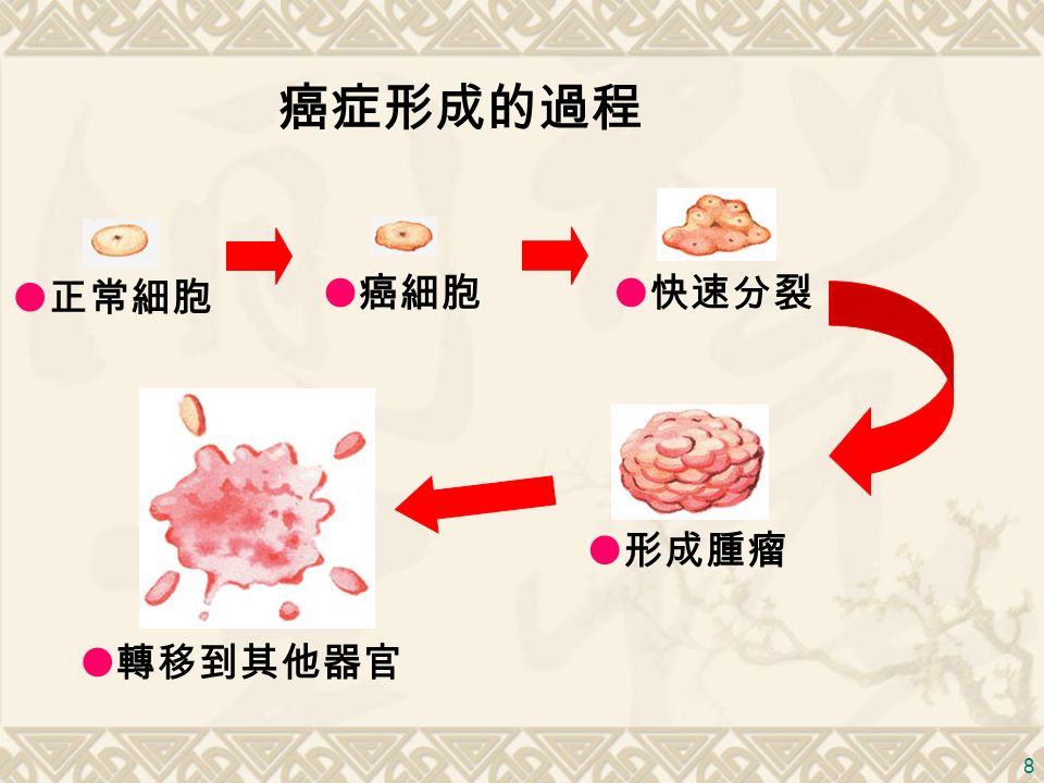 8 癌症形成的過程  正常細胞  癌細胞  快速分裂  形成腫瘤  轉移到其他器官