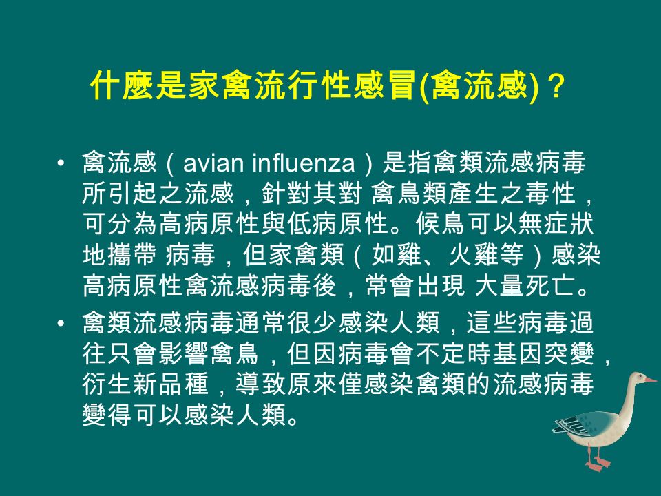 什麼是家禽流行性感冒 ( 禽流感 ) ？ 禽流感（ avian influenza ）是指禽類流感病毒 所引起之流感，針對其對 禽鳥類產生之毒性， 可分為高病原性與低病原性。候鳥可以無症狀 地攜帶 病毒，但家禽類（如雞、火雞等）感染 高病原性禽流感病毒後，常會出現 大量死亡。 禽類流感病毒通常很少感染人類，這些病毒過 往只會影響禽鳥，但因病毒會不定時基因突變， 衍生新品種，導致原來僅感染禽類的流感病毒 變得可以感染人類。