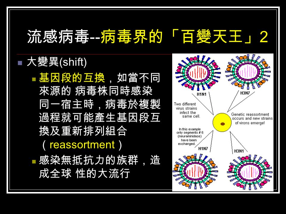 流感病毒 -- 病毒界的「百變天王」 2 大變異 (shift) 基因段的互換，如當不同 來源的 病毒株同時感染 同一宿主時，病毒於複製 過程就可能產生基因段互 換及重新排列組合 （ reassortment ） 感染無抵抗力的族群，造 成全球 性的大流行