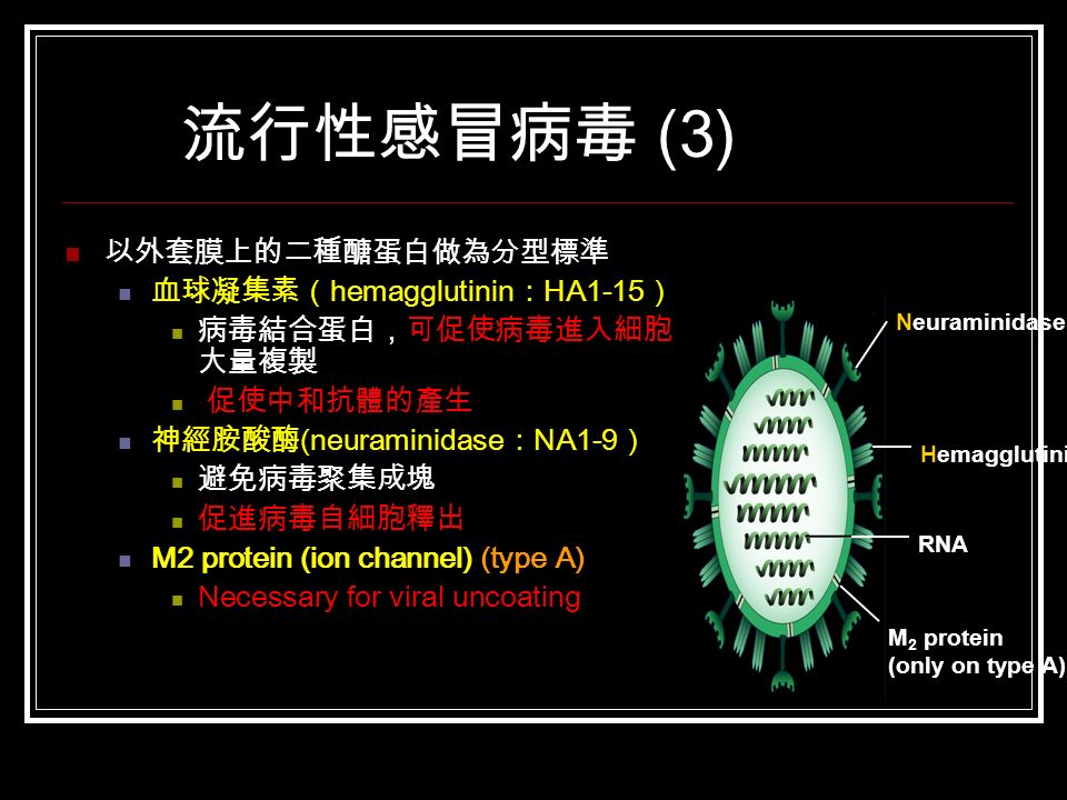 流行性感冒病毒 (3) 以外套膜上的二種醣蛋白做為分型標準 血球凝集素（ hemagglutinin ： HA1-15 ） 病毒結合蛋白，可促使病毒進入細胞 大量複製 促使中和抗體的產生 神經胺酸酶 (neuraminidase ： NA1-9 ） 避免病毒聚集成塊 促進病毒自細胞釋出 M2 protein (ion channel) (type A) Necessary for viral uncoating Neuraminidase Hemagglutinin RNA M 2 protein (only on type A)