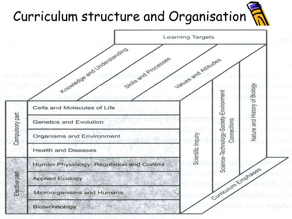 Curriculum structure and Organisation