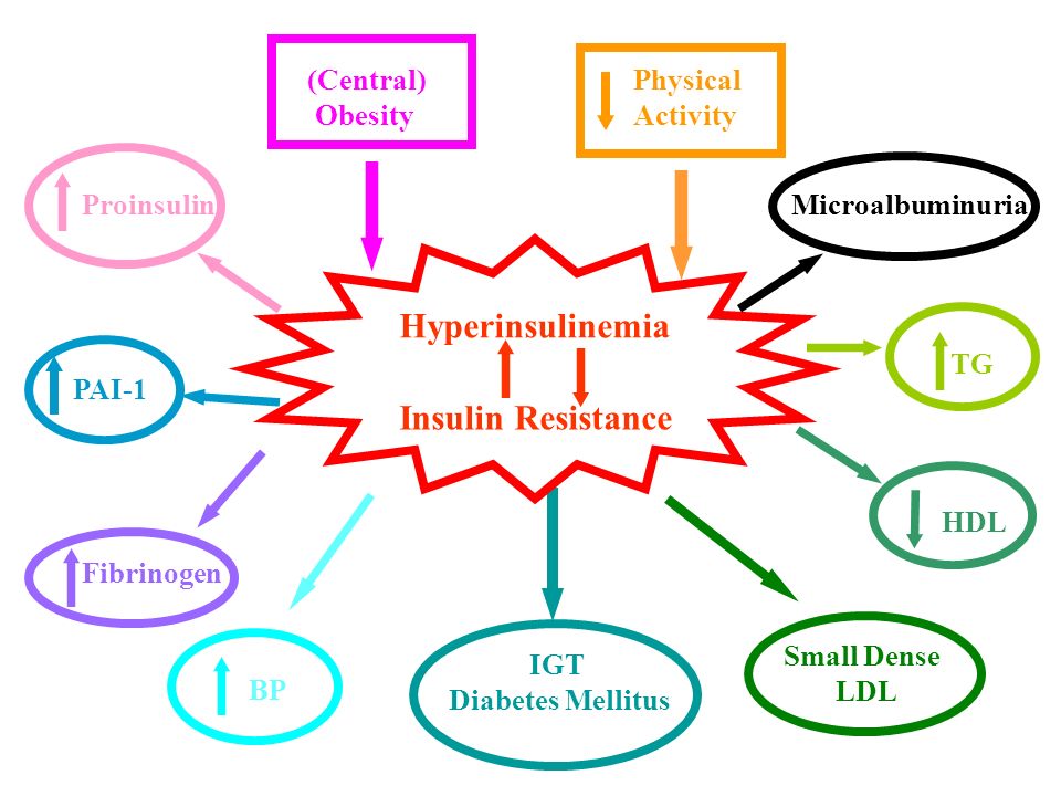 Hyperinsulinemia Insulin Resistance (Central) Obesity Physical Activity Microalbuminuria IGT Diabetes Mellitus BP PAI-1 Fibrinogen Proinsulin Small Dense LDL HDL TG
