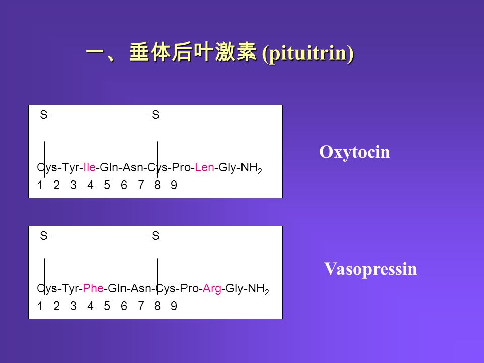 S ———————— S Cys-Tyr-Ile-Gln-Asn-Cys-Pro-Len-Gly-NH S ———————— S Cys-Tyr-Phe-Gln-Asn-Cys-Pro-Arg-Gly-NH Oxytocin Vasopressin 一、垂体后叶激素 (pituitrin)