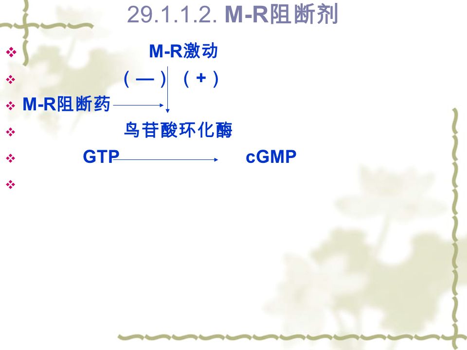 M-R 阻断剂  M-R 激动  （ — ） （ + ）  M-R 阻断药  鸟苷酸环化酶  GTP cGMP 