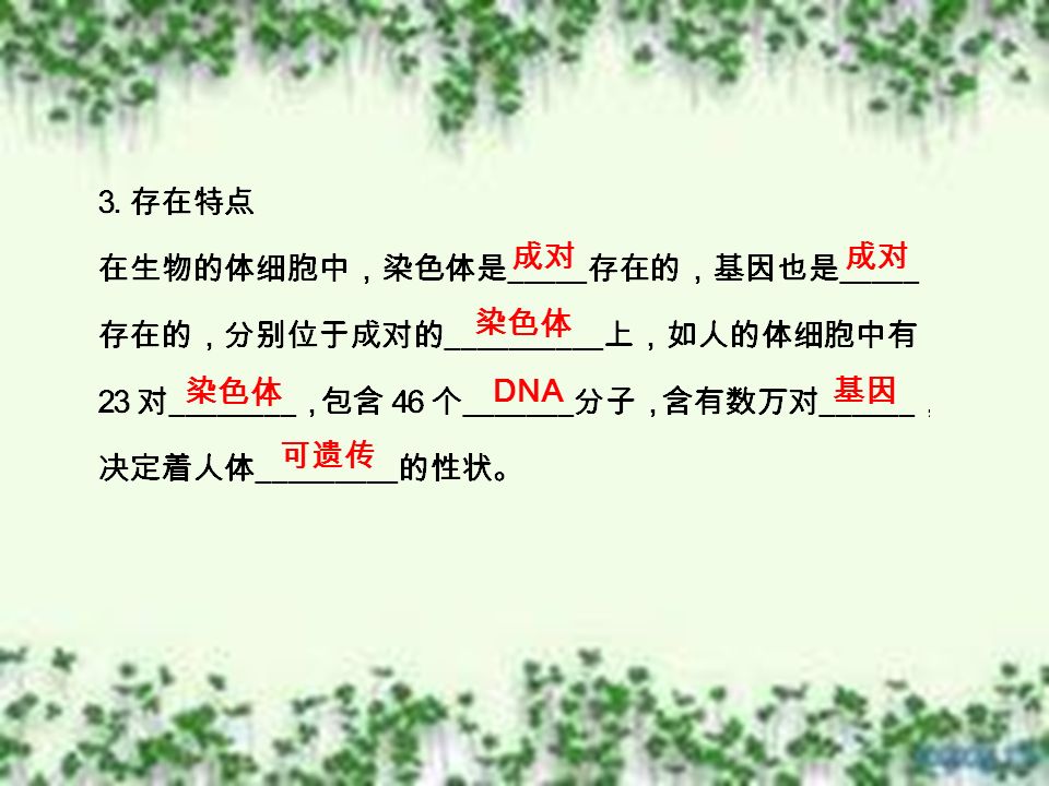 成对 染色体 DNA 基因 可遗传