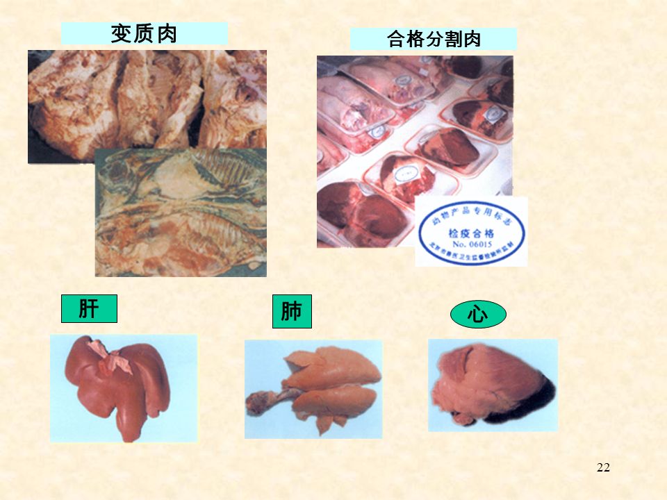 22 变质肉 合格分割肉 肝 肺 心