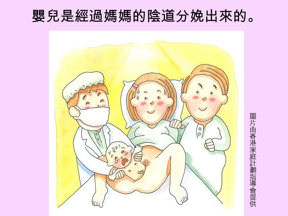 嬰兒是經過媽媽的陰道分娩出來的。