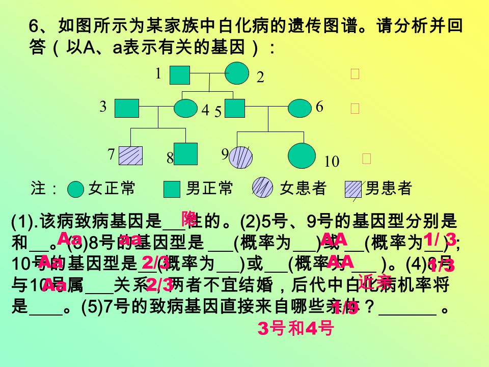 6 、如图所示为某家族中白化病的遗传图谱。请分析并回 答（以 A 、 a 表示有关的基因）： Ⅰ Ⅱ Ⅲ 注： 女正常 男正常 女患者 男患者 (1).