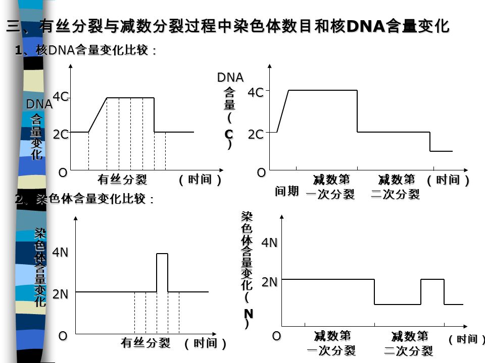 二、有丝分裂与减数分裂过程的比较 1 。染色体的行为变化 有丝分裂：复制 染色体平均分配 减数分裂：复制 联会形成四分体同源染色体分离非同源染色体自由组合 染色体 数目减 半 着丝粒分裂 2 。核 DNA 含量的变化 有丝分裂： 2c 4c4c4c4c 2c2c2c2c 减数分裂： 2c2c2c2c 4c4c4c4c 2c2c2c2cc