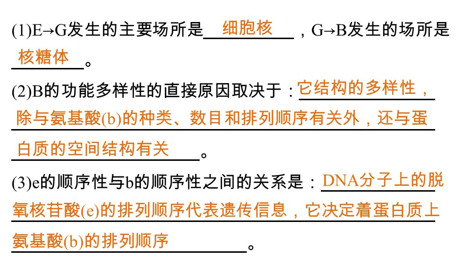 (1)E → G 发生的主要场所是， G → B 发生的场所是 。 (2)B 的功能多样性的直接原因取决于： 。 (3)e 的顺序性与 b 的顺序性之间的关系是： 。 细胞核 核糖体 它结构的多样性， 除与氨基酸 (b) 的种类、数目和排列顺序有关外，还与蛋 白质的空间结构有关 DNA 分子上的脱 氧核苷酸 (e) 的排列顺序代表遗传信息，它决定着蛋白质上 氨基酸 (b) 的排列顺序