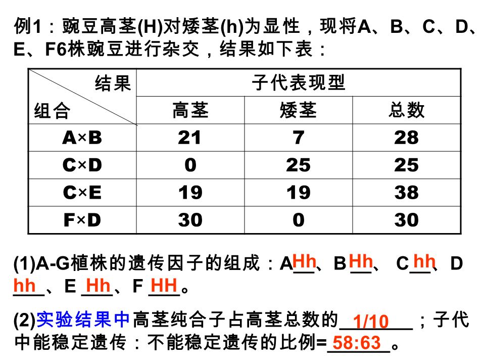 例 1 ：豌豆高茎 (H) 对矮茎 (h) 为显性，现将 A 、 B 、 C 、 D 、 E 、 F6 株豌豆进行杂交，结果如下表： 子代表现型 高茎矮茎总数 A×B21728 C×D025 C×E19 38 F×D300 组合 结果 (1)A-G 植株的遗传因子的组成： A__ 、 B __ 、 C__ 、 D ___ 、 E ___ 、 F ___ 。 (2) 实验结果中高茎纯合子占高茎总数的 _______ ；子代 中能稳定遗传：不能稳定遗传的比例 =______ 。 Hh hh HhHH 1/10 58:63