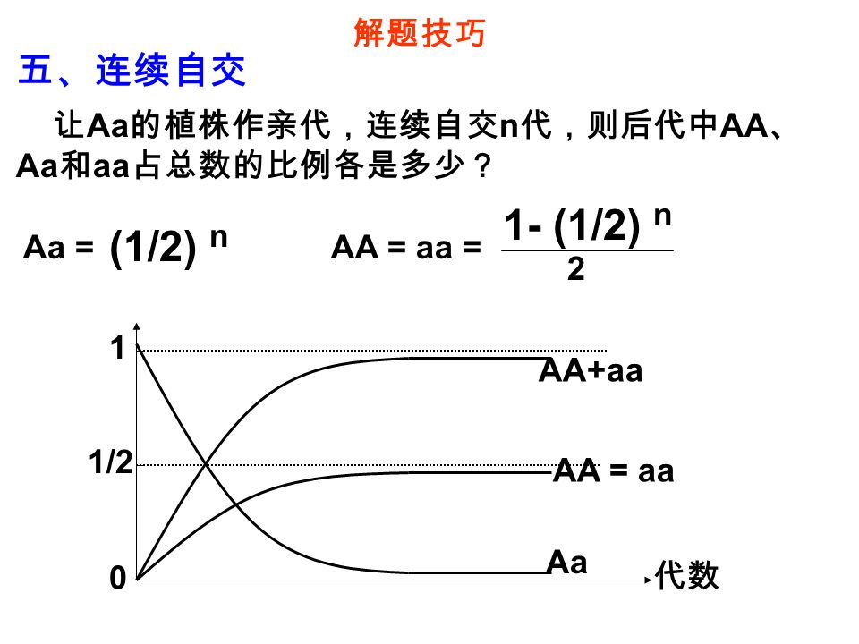 解题技巧 五、连续自交 让 Aa 的植株作亲代，连续自交 n 代，则后代中 AA 、 Aa 和 aa 占总数的比例各是多少？ Aa = (1/2) n AA = aa = 1- (1/2) n 2 代数 1 1/2 0 AA = aa Aa AA+aa