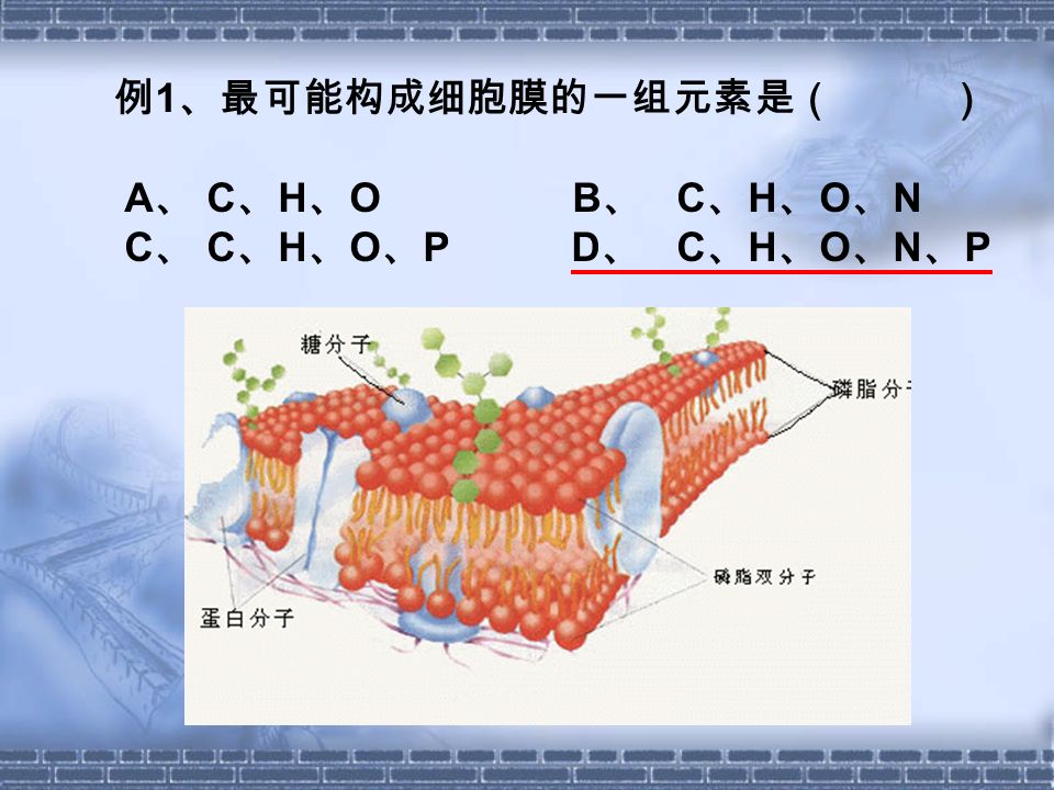 例 1 、最可能构成细胞膜的一组元素是（ ） A 、 C 、 H 、 O B 、 C 、 H 、 O 、 N C 、 C 、 H 、 O 、 P D 、 C 、 H 、 O 、 N 、 P