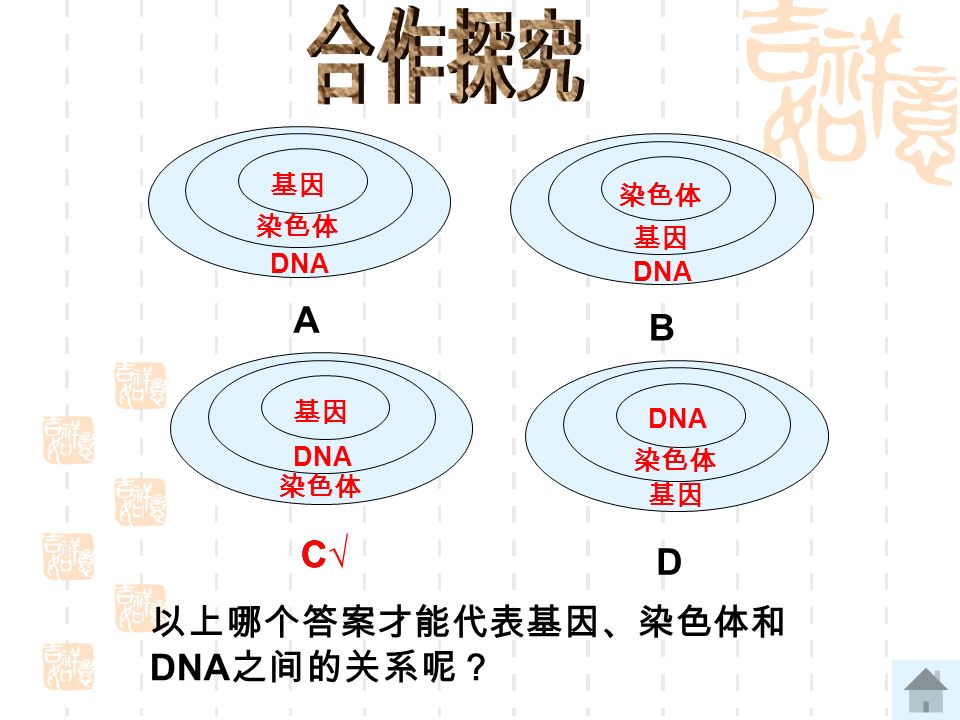 染色体 DNA 基因 染色体 DNA 基因 染色体 DNA 基因 染色体 DNA 基因 A B C D 以上哪个答案才能代表基因、染色体和 DNA 之间的关系呢？ C√