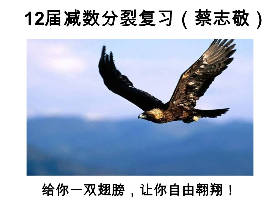 12 届减数分裂复习（蔡志敬） 给你一双翅膀，让你自由翱翔！