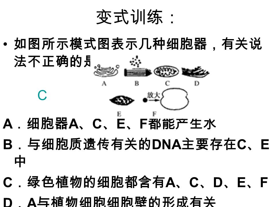 变式训练： 如图所示模式图表示几种细胞器，有关说 法不正确的是 ( ) A ．细胞器 A 、 C 、 E 、 F 都能产生水 B ．与细胞质遗传有关的 DNA 主要存在 C 、 E 中 C ．绿色植物的细胞都含有 A 、 C 、 D 、 E 、 F D ． A 与植物细胞细胞壁的形成有关 C