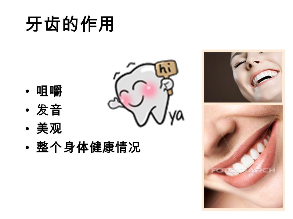 牙齿的作用 咀嚼 发音 美观 整个身体健康情况