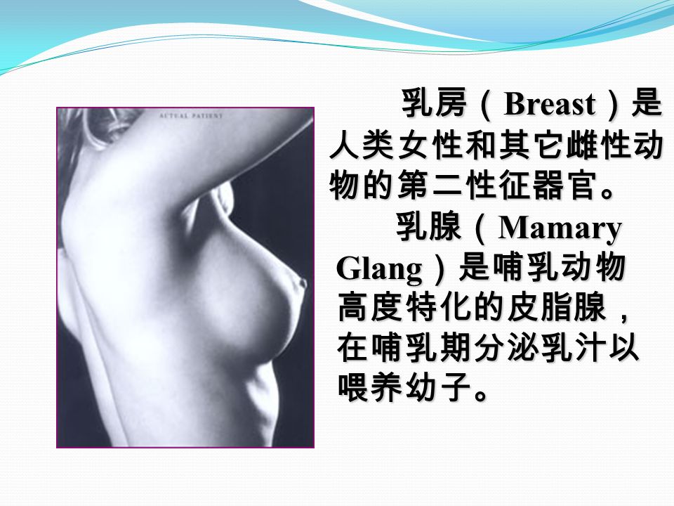 乳房（ Breast ）是 人类女性和其它雌性动 人类女性和其它雌性动 物的第二性征器官。 物的第二性征器官。 乳腺（ Mamary 乳腺（ Mamary Glang ）是哺乳动物 Glang ）是哺乳动物 高度特化的皮脂腺， 高度特化的皮脂腺， 在哺乳期分泌乳汁以 在哺乳期分泌乳汁以 喂养幼子。 喂养幼子。