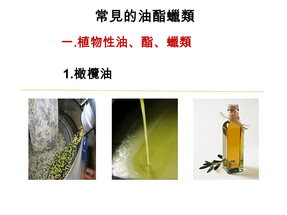 常見的油酯蠟類 一. 植物性油、酯、蠟類 1. 橄欖油