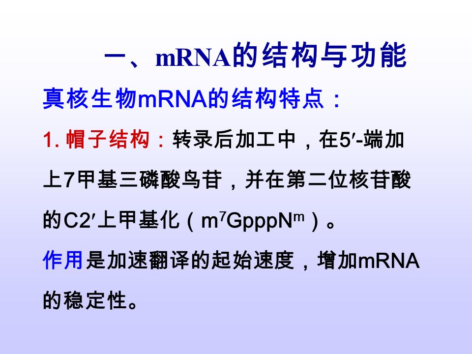 一、 mRNA 的结构与功能 真核生物 mRNA 的结构特点： 1.