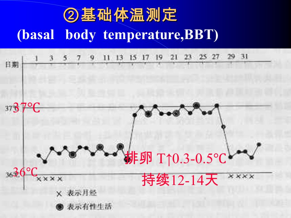 ② 基础体温测定 ② 基础体温测定 (basal body temperature,BBT) 排卵 T↑ ℃ 持续 天 36 ℃ 37 ℃