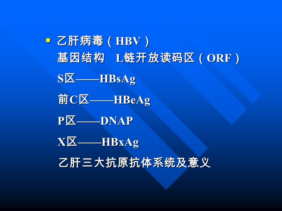  乙肝病毒（ HBV ） 基因结构 L 链开放读码区（ ORF ） 基因结构 L 链开放读码区（ ORF ） S 区 ——HBsAg S 区 ——HBsAg 前 C 区 ——HBeAg 前 C 区 ——HBeAg P 区 ——DNAP P 区 ——DNAP X 区 ——HBxAg X 区 ——HBxAg 乙肝三大抗原抗体系统及意义 乙肝三大抗原抗体系统及意义