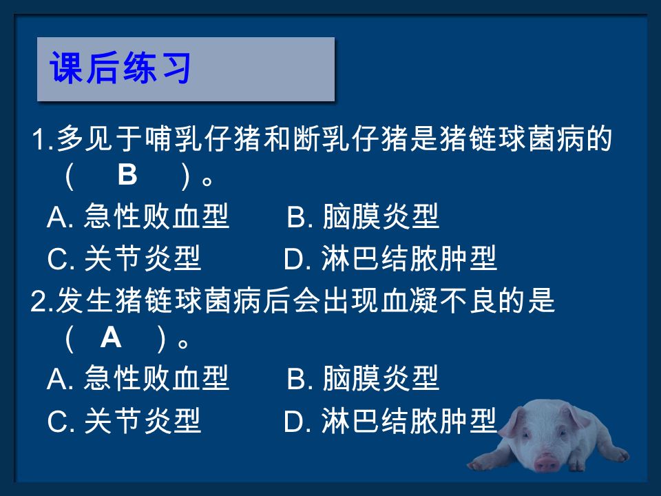 课后练习 1. 多见于哺乳仔猪和断乳仔猪是猪链球菌病的 （ B ）。 A. 急性败血型 B. 脑膜炎型 C.