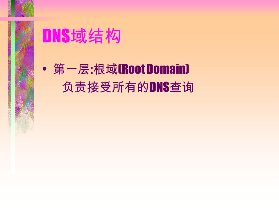DNS 域结构 第一层 : 根域 (Root Domain) 负责接受所有的 DNS 查询