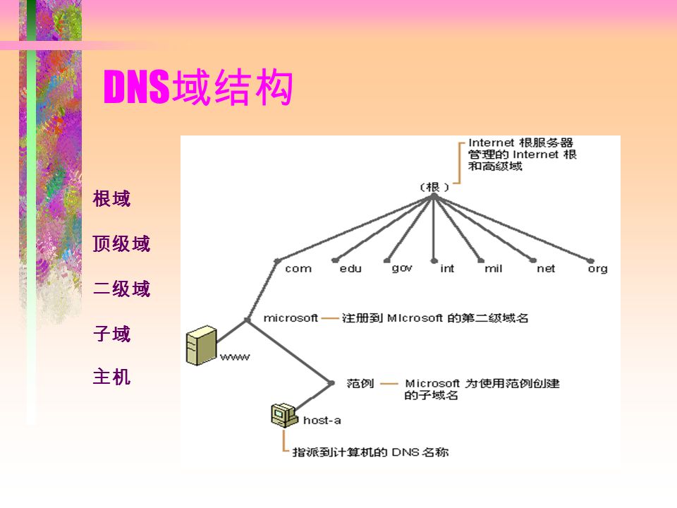 DNS 域结构 根域 顶级域 二级域 子域 主机