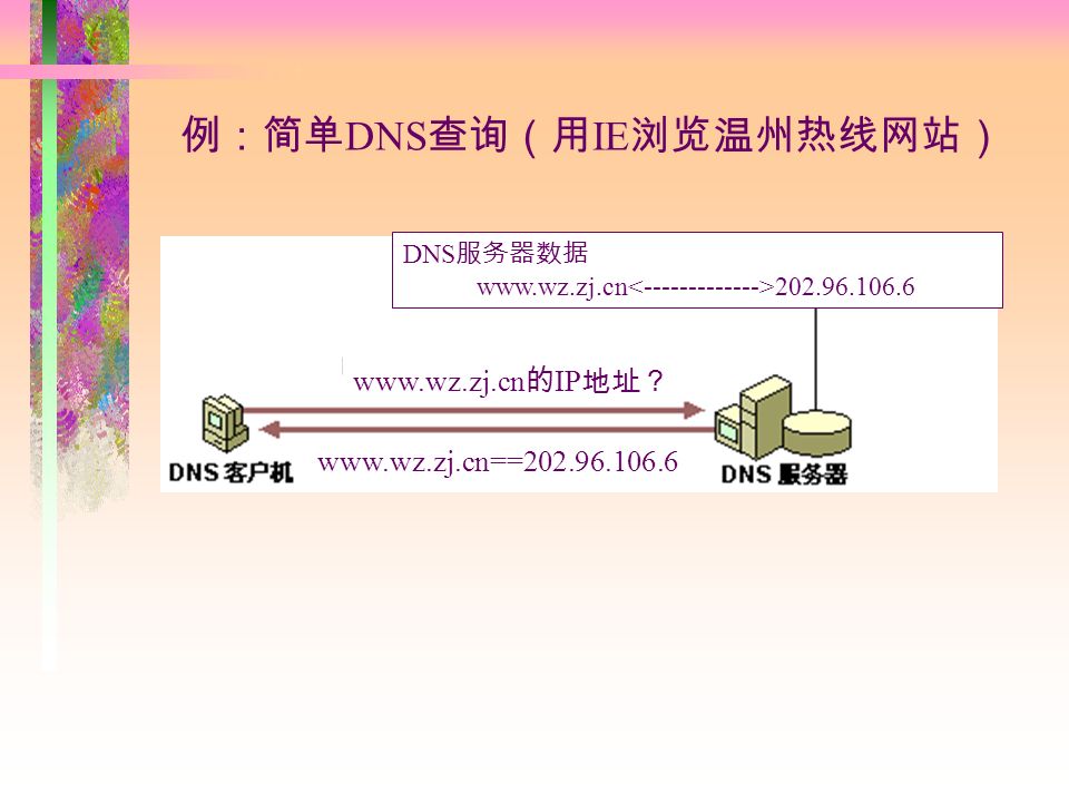 的 IP 地址？ DNS 服务器数据 例：简单 DNS 查询（用 IE 浏览温州热线网站）