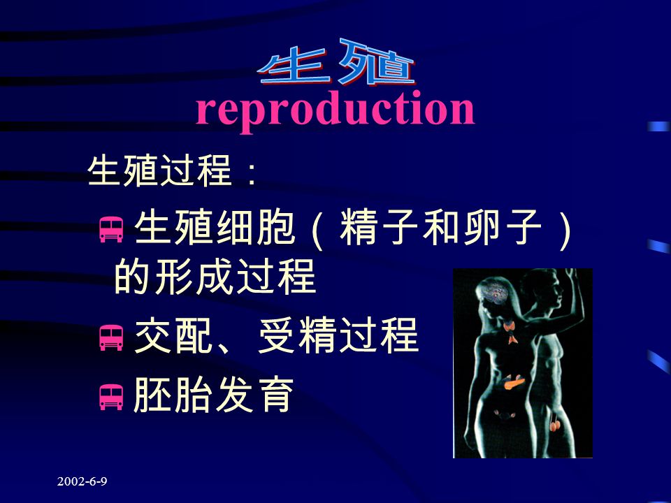 版权所有：王跃春 reproduction 生殖过程：  生殖细胞（精子和卵子） 的形成过程  交配、受精过程  胚胎发育
