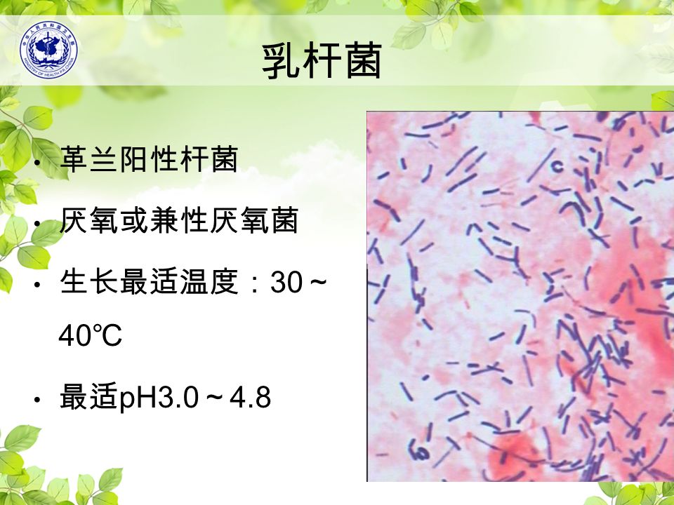 乳杆菌 革兰阳性杆菌 厌氧或兼性厌氧菌 生长最适温度： 30 ～ 40 ℃ 最适 pH3.0 ～ 4.8