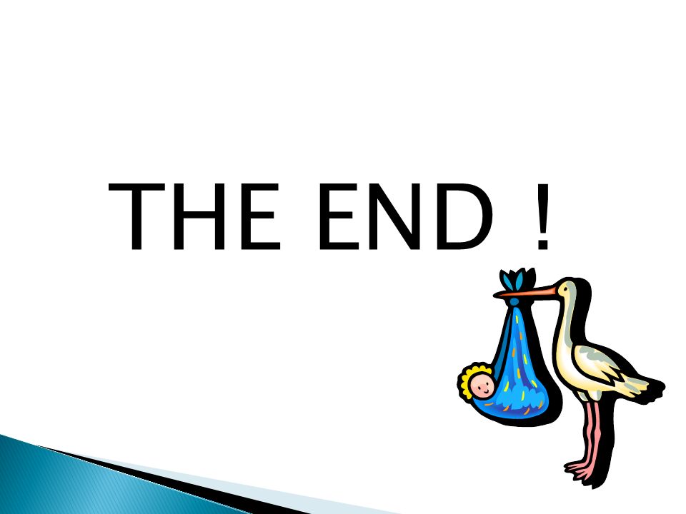 THE END ！