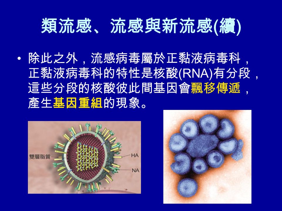 類流感、流感與新流感 ( 續 ) 除此之外，流感病毒屬於正黏液病毒科， 正黏液病毒科的特性是核酸 (RNA) 有分段， 這些分段的核酸彼此間基因會飄移傳遞， 產生基因重組的現象。