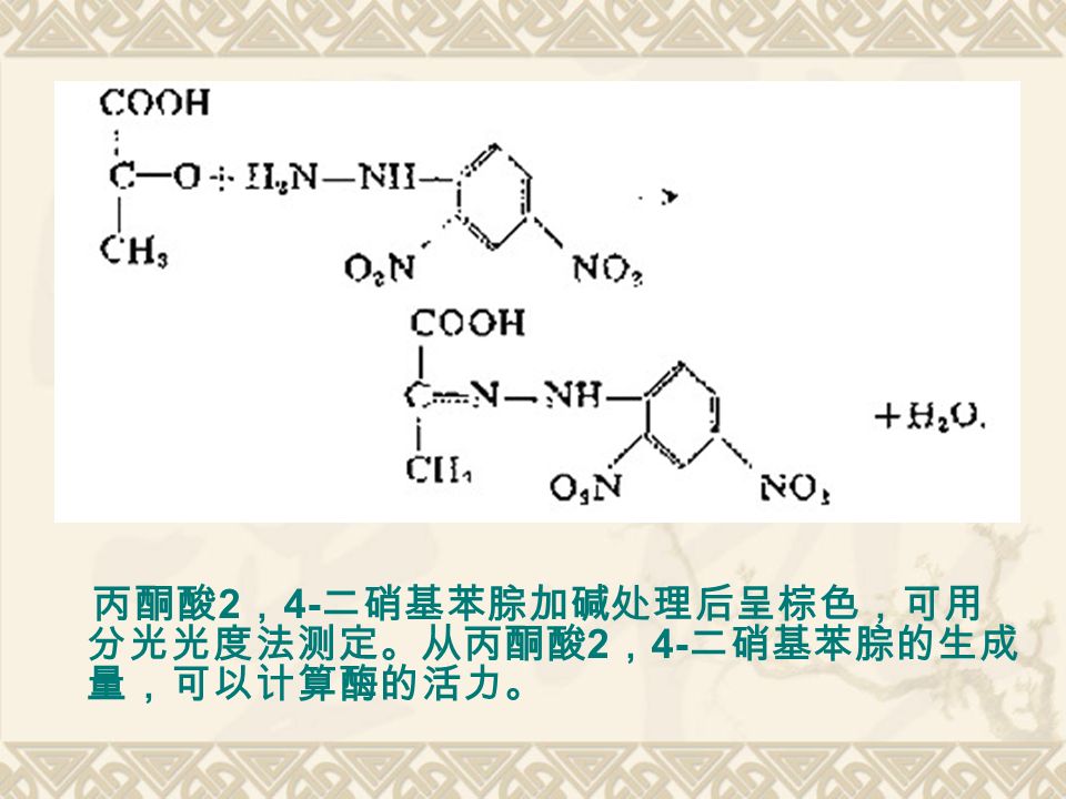 丙酮酸 2 ， 4- 二硝基苯腙加碱处理后呈棕色，可用 分光光度法测定。从丙酮酸 2 ， 4- 二硝基苯腙的生成 量，可以计算酶的活力。